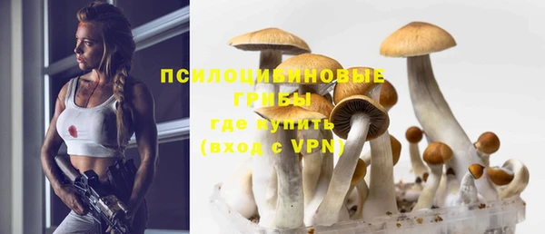 бутират Арсеньев