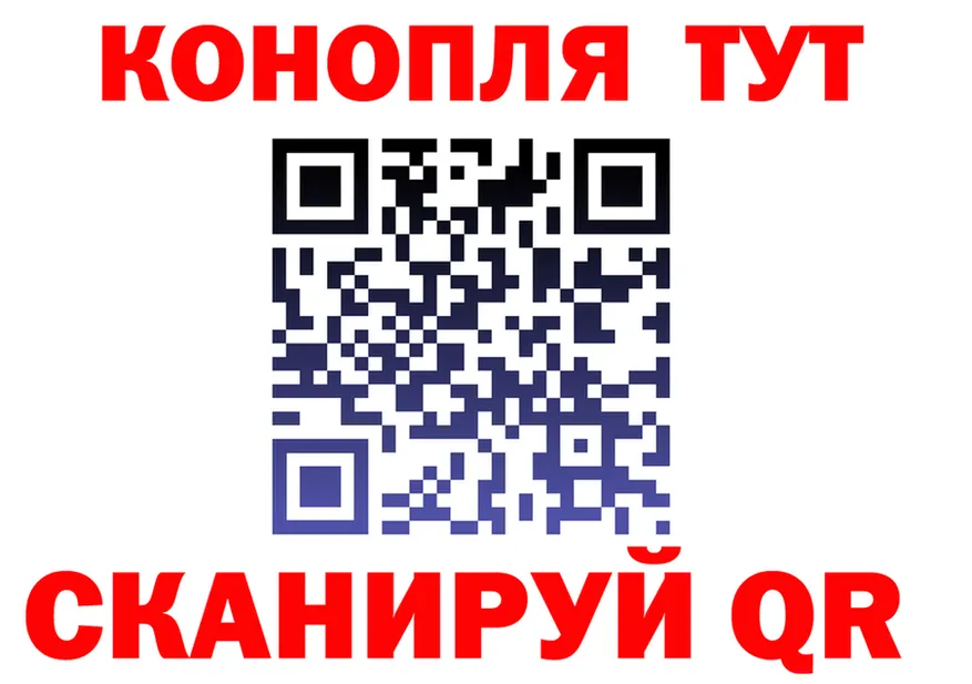 A-PVP СК КРИС ТОР маркетплейс OMG Тулун