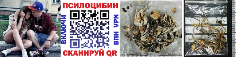 Псилоцибиновые грибы ЛСД Тулун